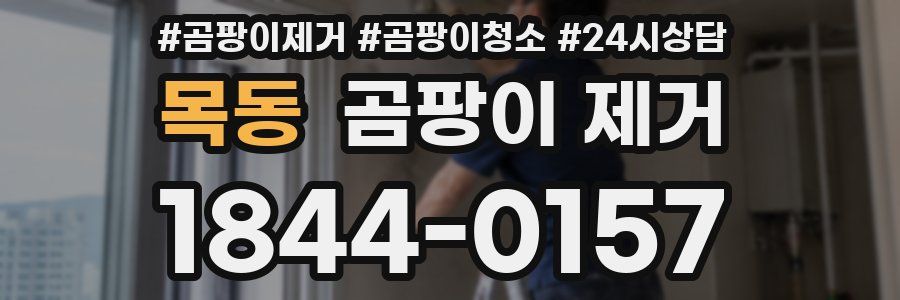 목동 곰팡이 제거