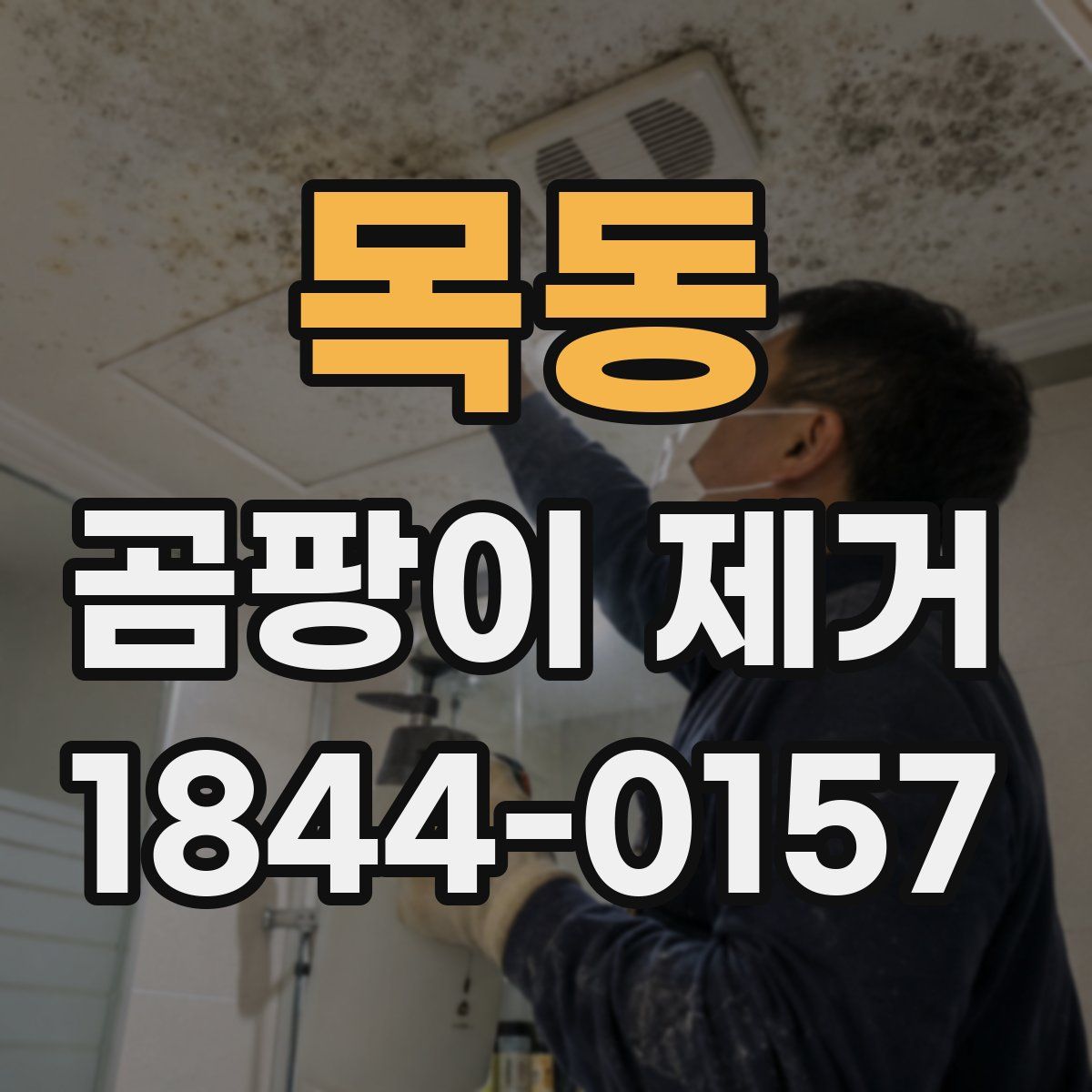 목동 곰팡이 제거