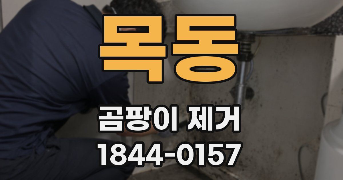 목동 곰팡이 제거