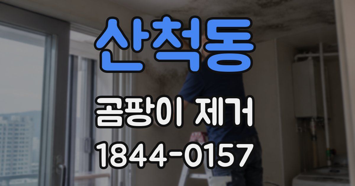 산척동 곰팡이 제거