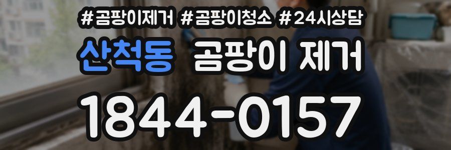 산척동 곰팡이 제거