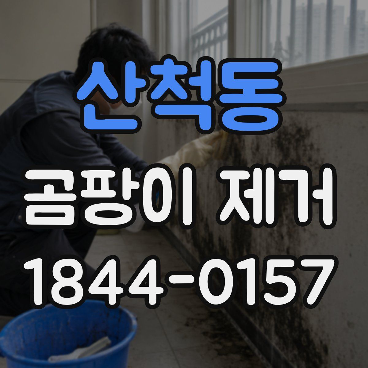 산척동 곰팡이 제거