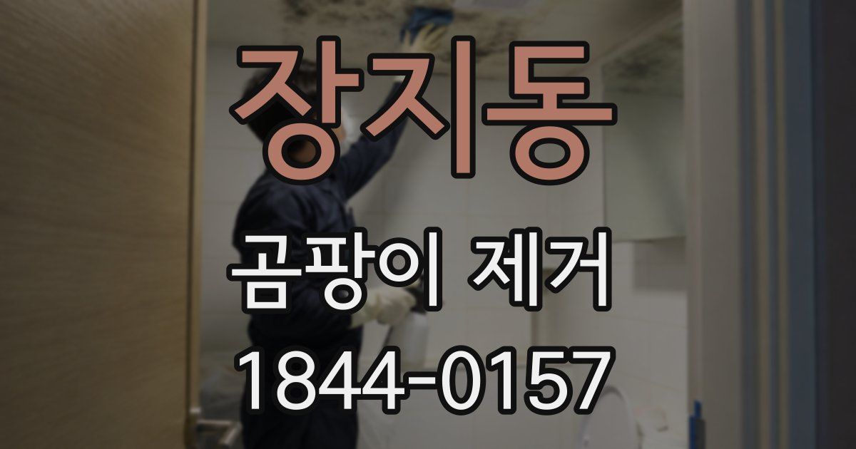 장지동 곰팡이 제거