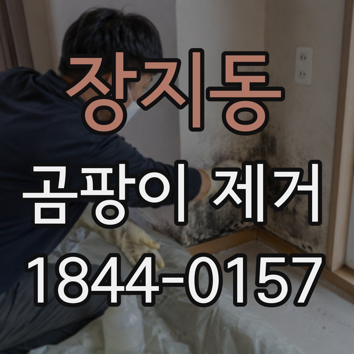 장지동 곰팡이 제거