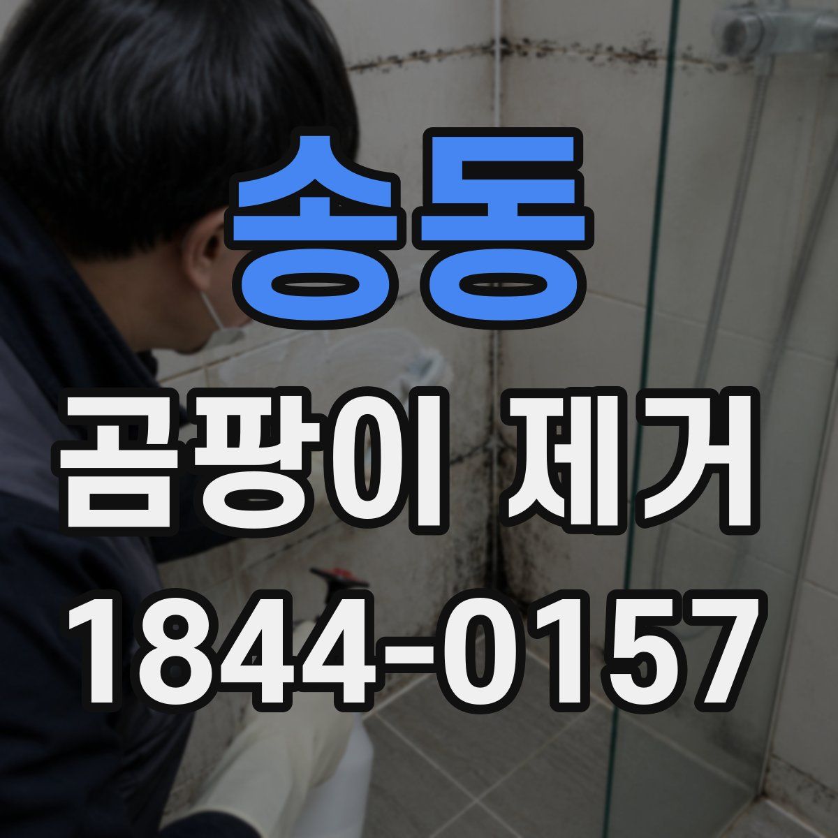 송동 곰팡이 제거