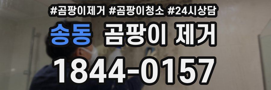 송동 곰팡이 제거