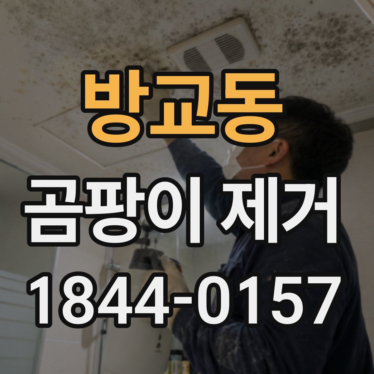방교동 곰팡이 제거