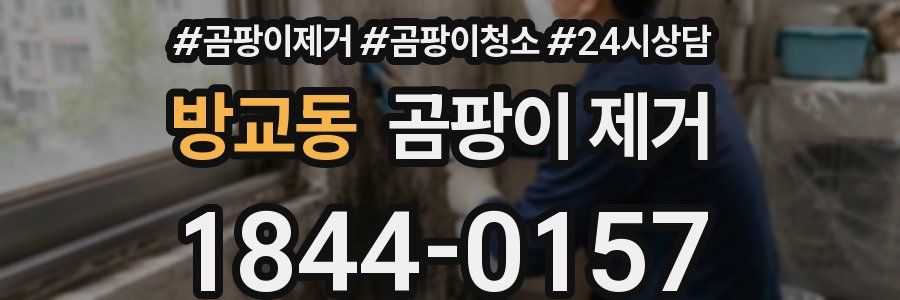 방교동 곰팡이 제거