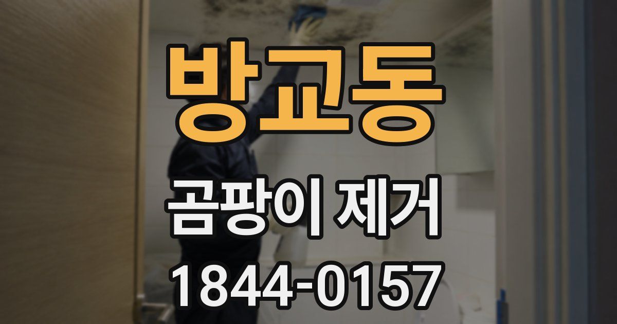 방교동 곰팡이 제거