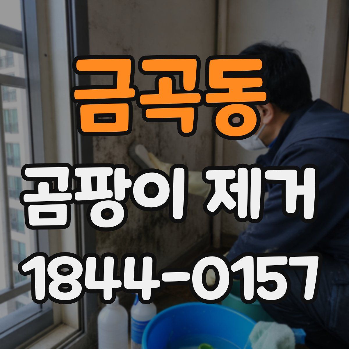 금곡동 곰팡이 제거