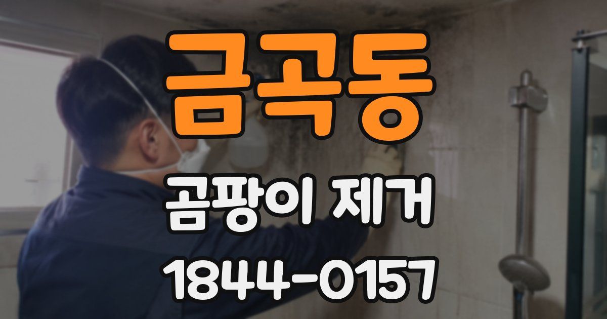 금곡동 곰팡이 제거
