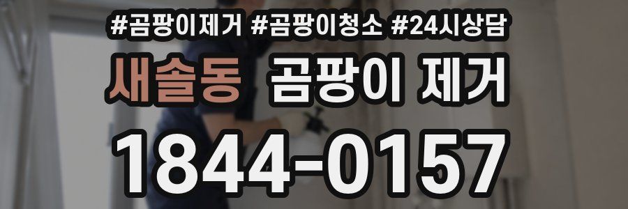 새솔동 곰팡이 제거