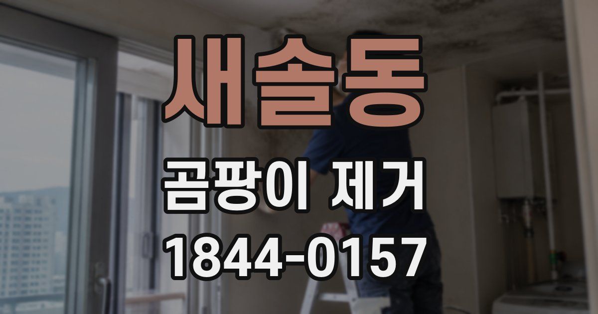 새솔동 곰팡이 제거