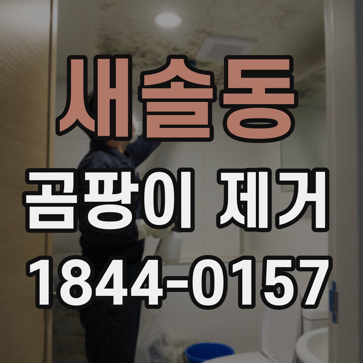 새솔동 곰팡이 제거
