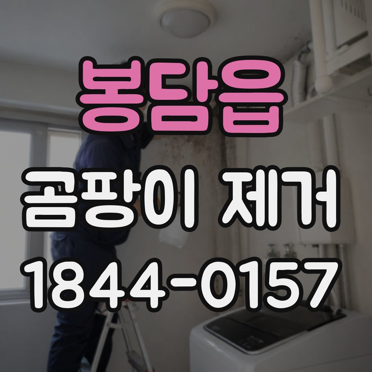 봉담읍 곰팡이 제거