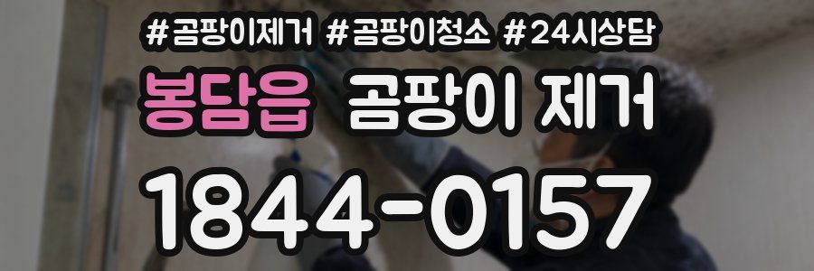 봉담읍 곰팡이 제거