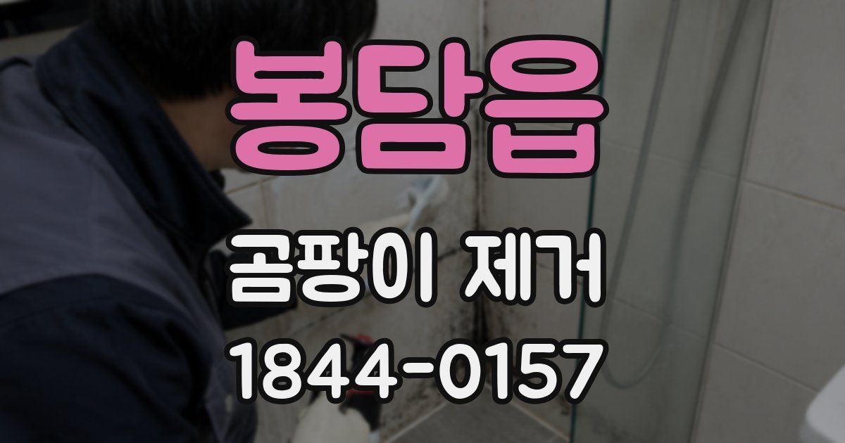 봉담읍 곰팡이 제거