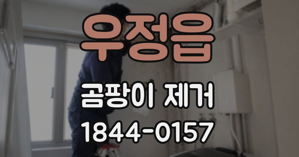 우정읍 곰팡이 제거