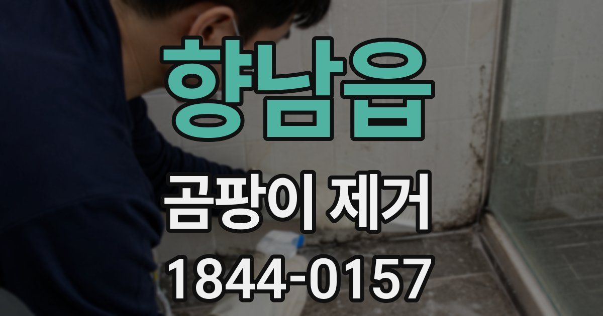 향남읍 곰팡이 제거