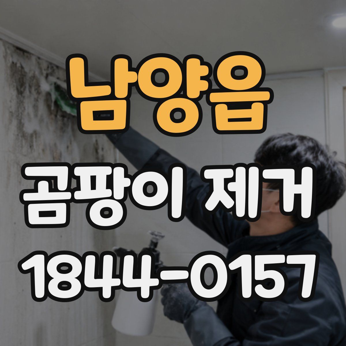 남양읍 곰팡이 제거