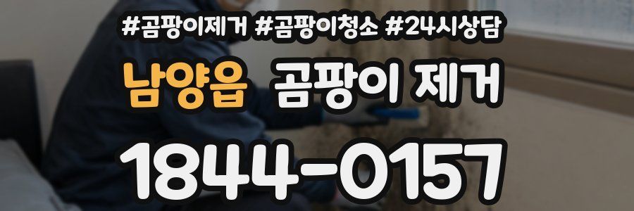 남양읍 곰팡이 제거