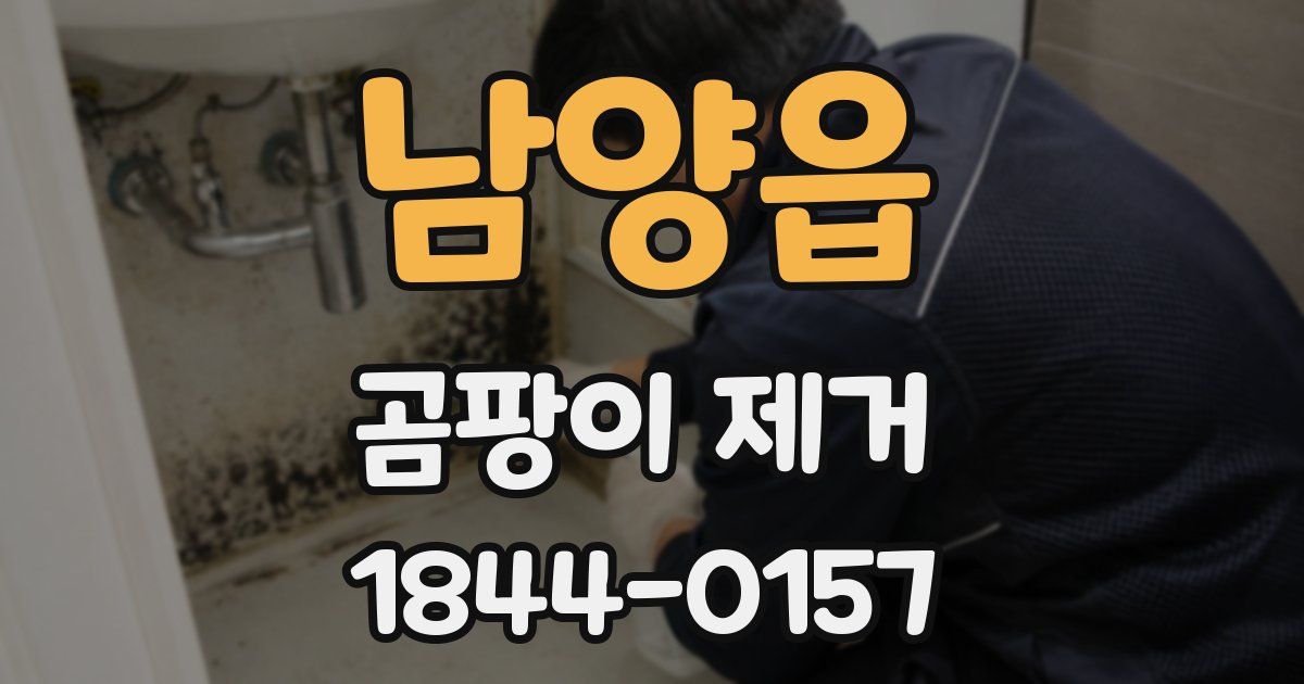 남양읍 곰팡이 제거