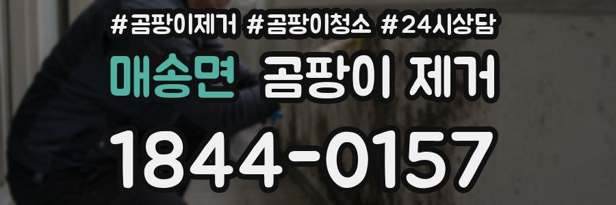 매송면 곰팡이 제거