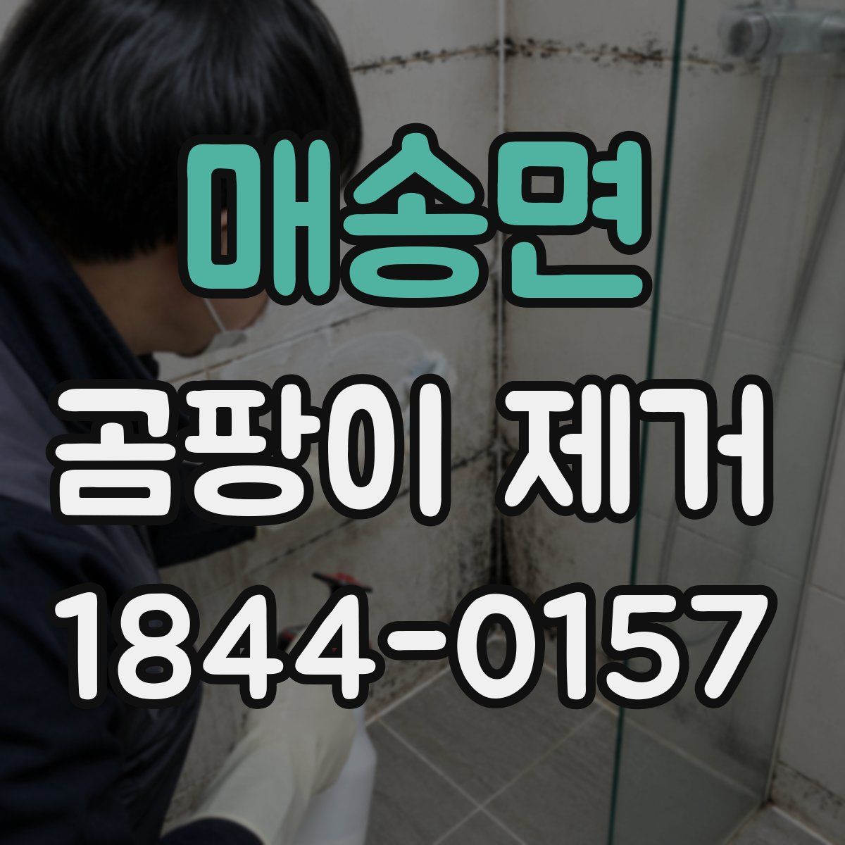 매송면 곰팡이 제거