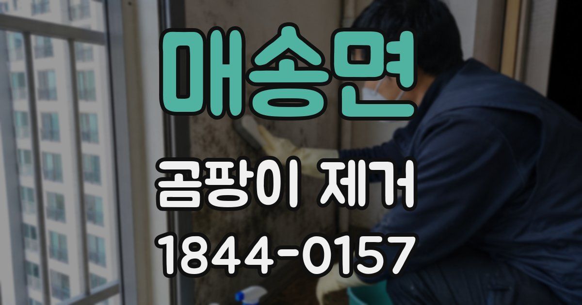 매송면 곰팡이 제거