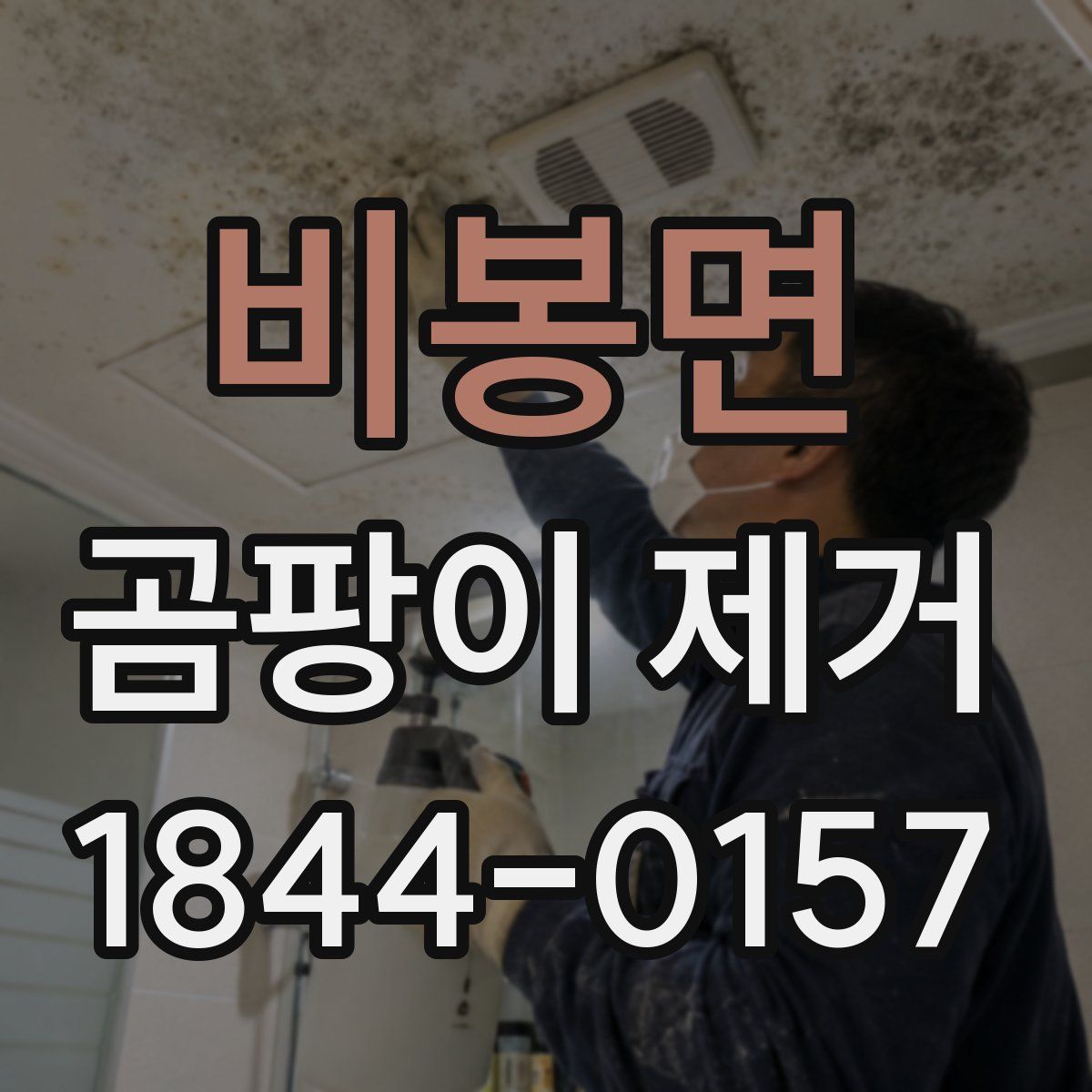 비봉면 곰팡이 제거