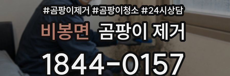 비봉면 곰팡이 제거