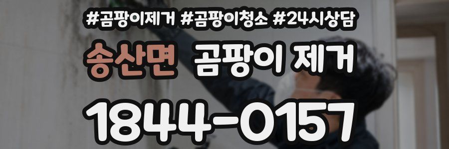송산면 곰팡이 제거