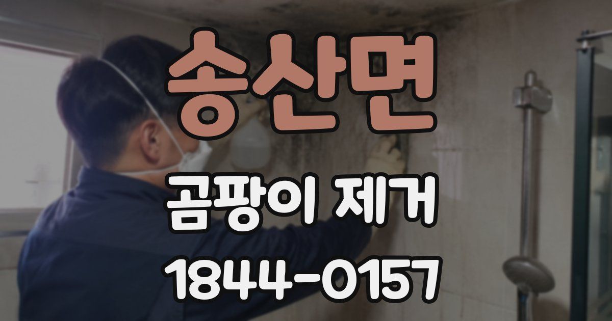 송산면 곰팡이 제거