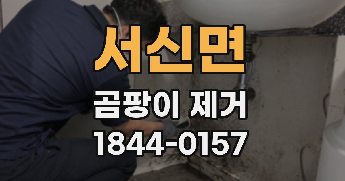 서신면 곰팡이 제거