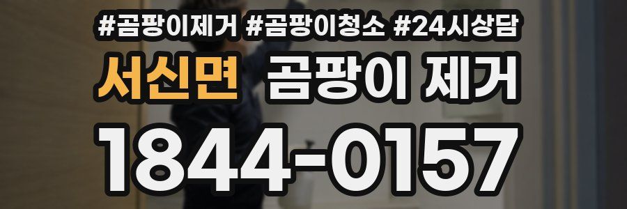 서신면 곰팡이 제거