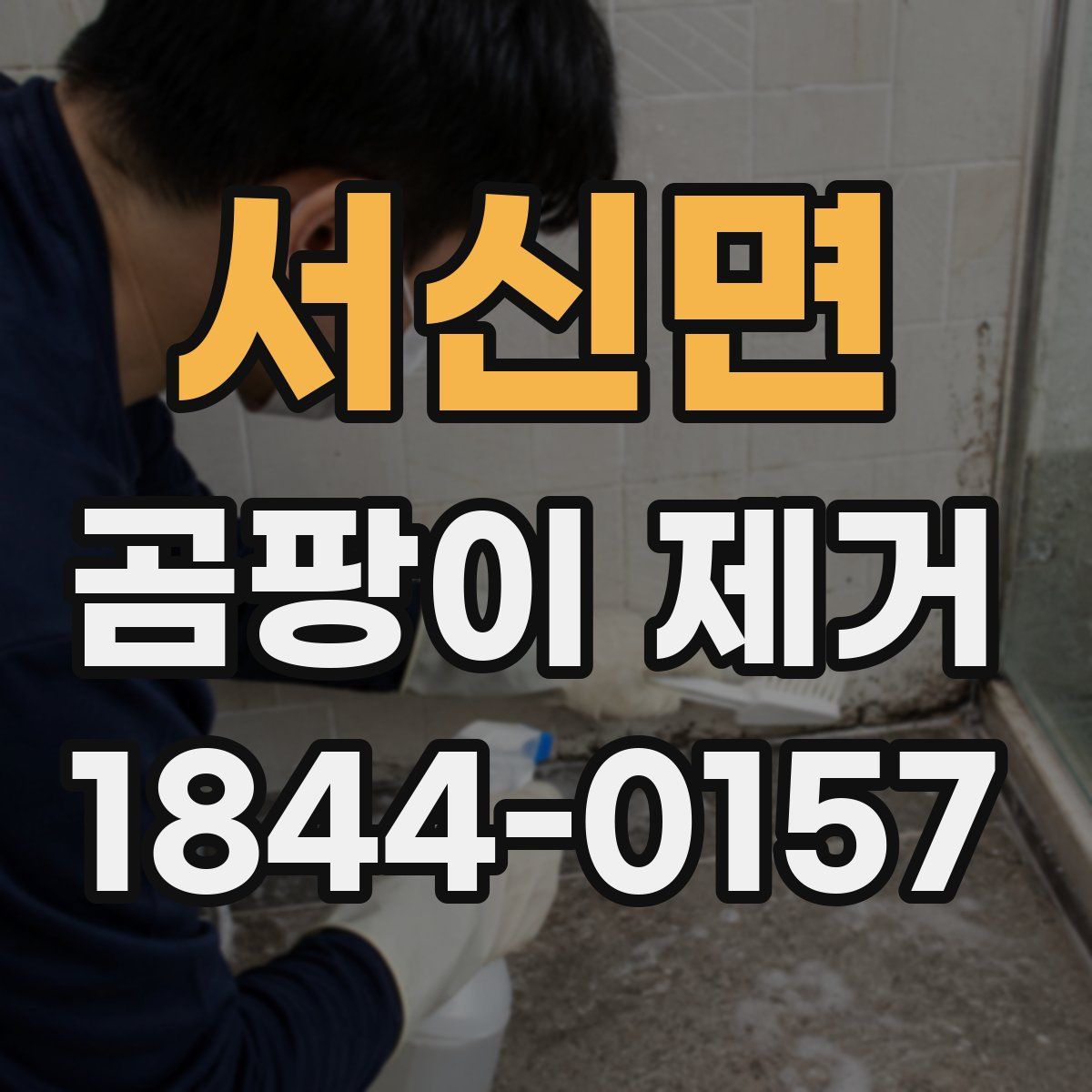 서신면 곰팡이 제거