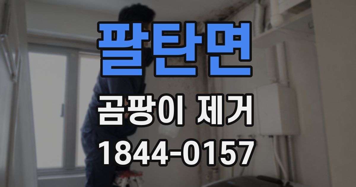 팔탄면 곰팡이 제거