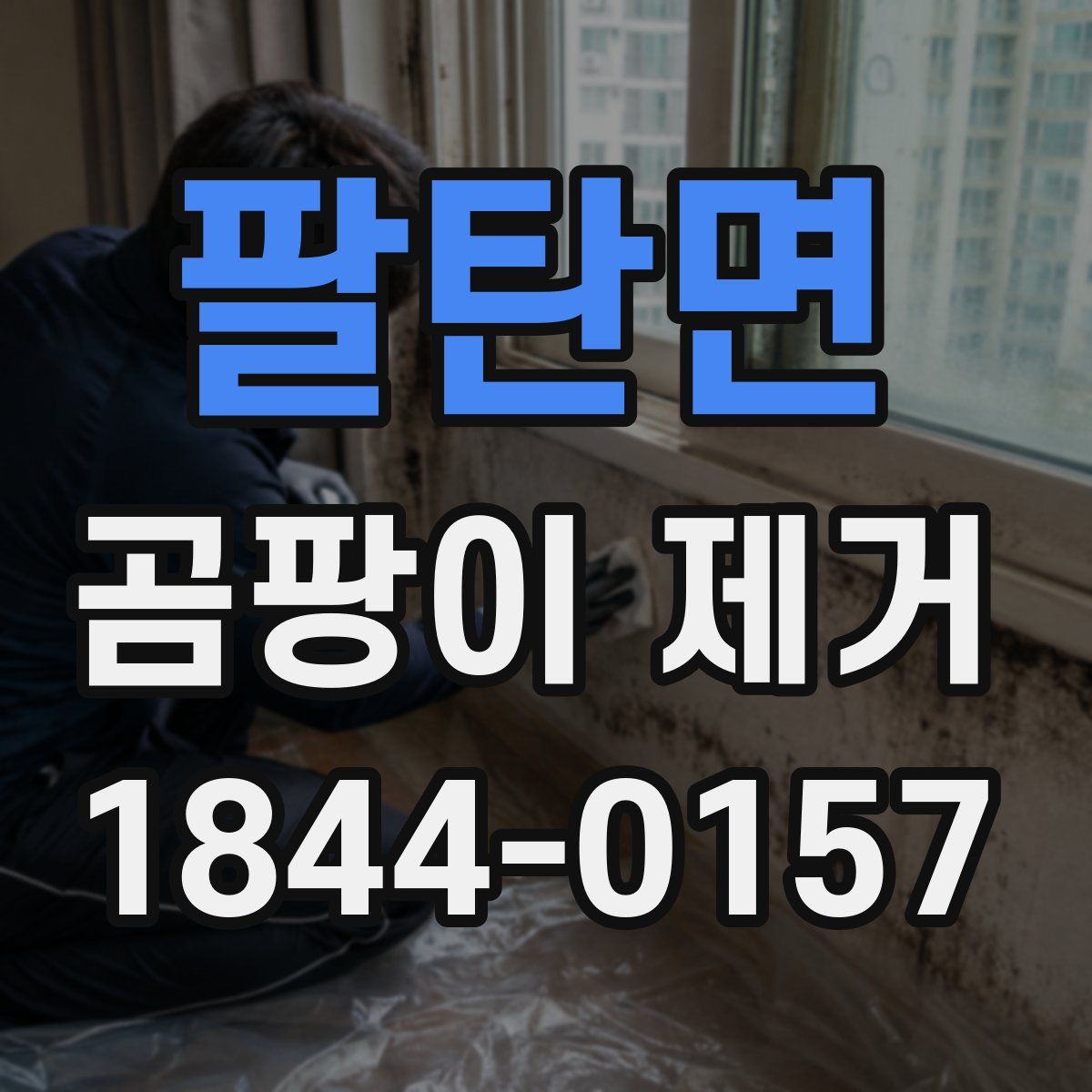 팔탄면 곰팡이 제거
