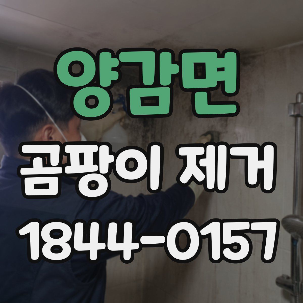 양감면 곰팡이 제거