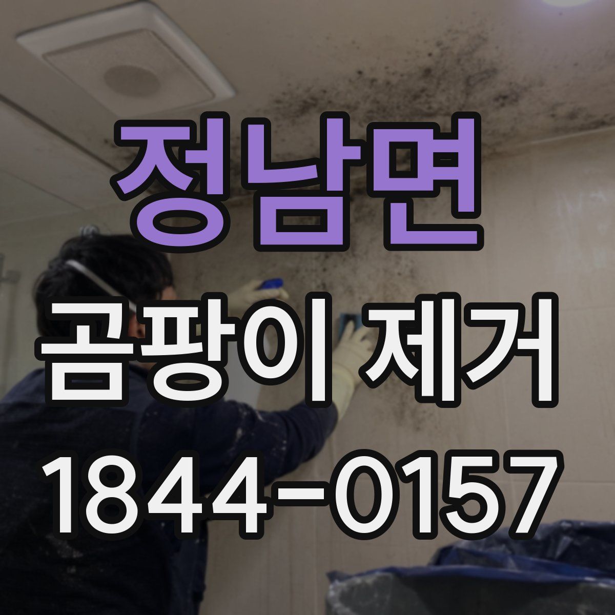정남면 곰팡이 제거