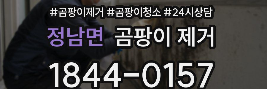 정남면 곰팡이 제거
