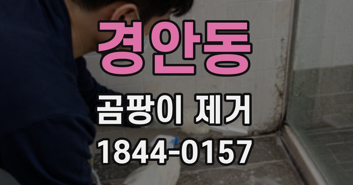 경안동 곰팡이 제거