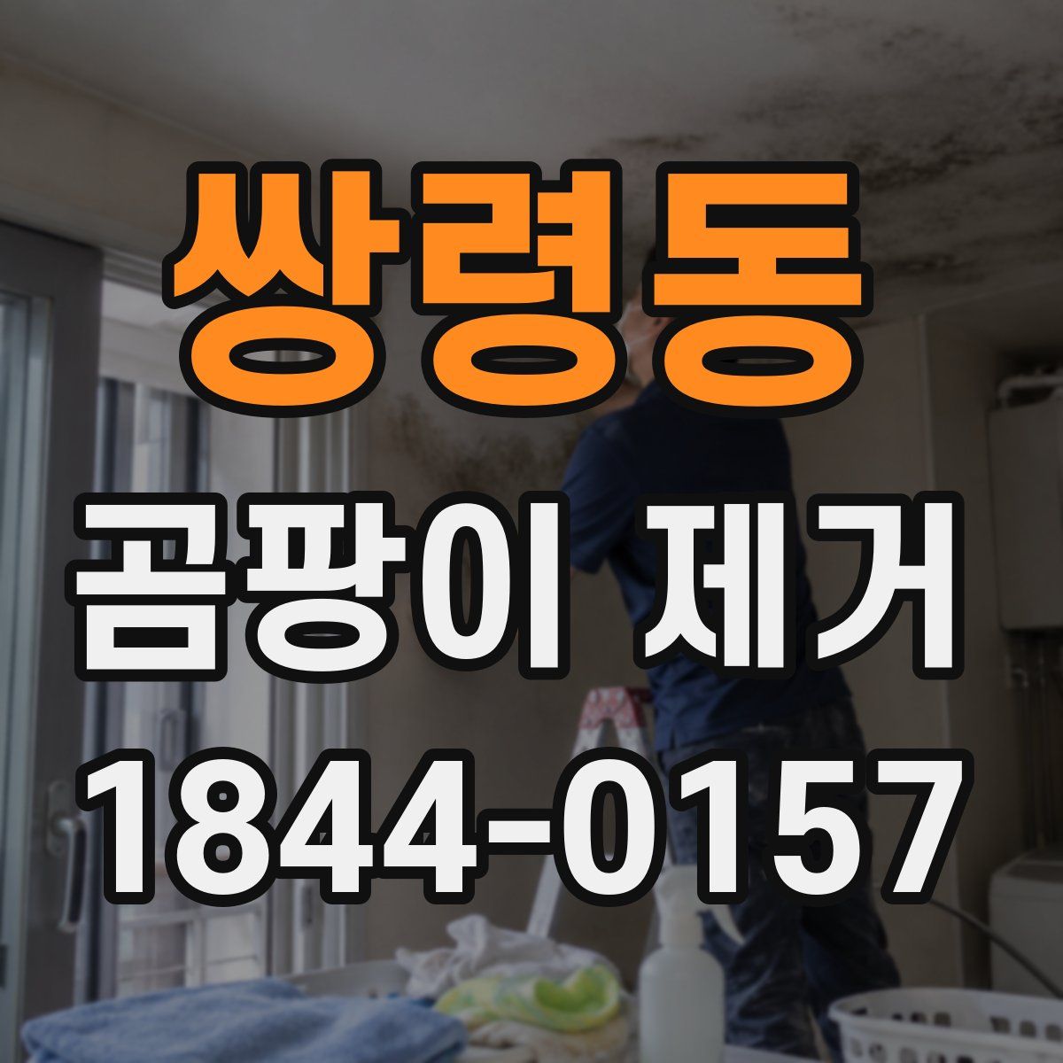 쌍령동 곰팡이 제거
