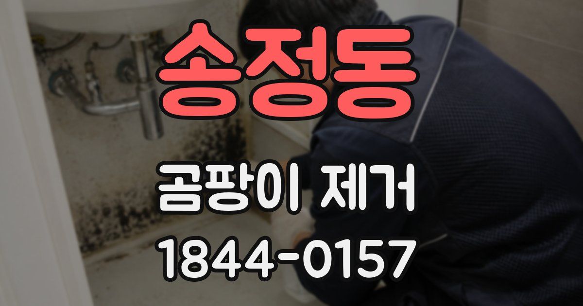 송정동 곰팡이 제거