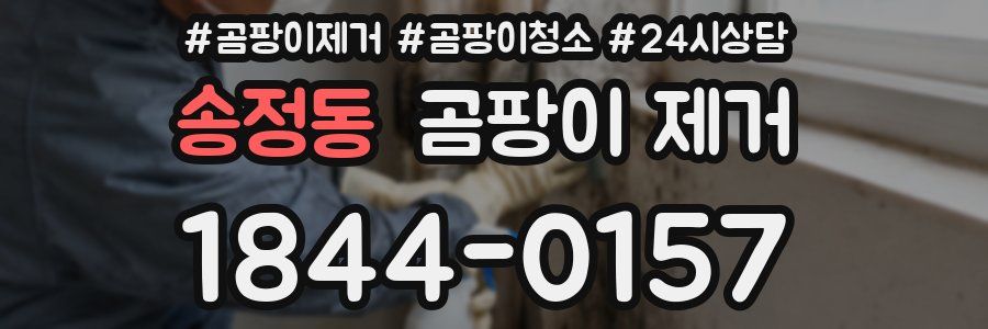 송정동 곰팡이 제거
