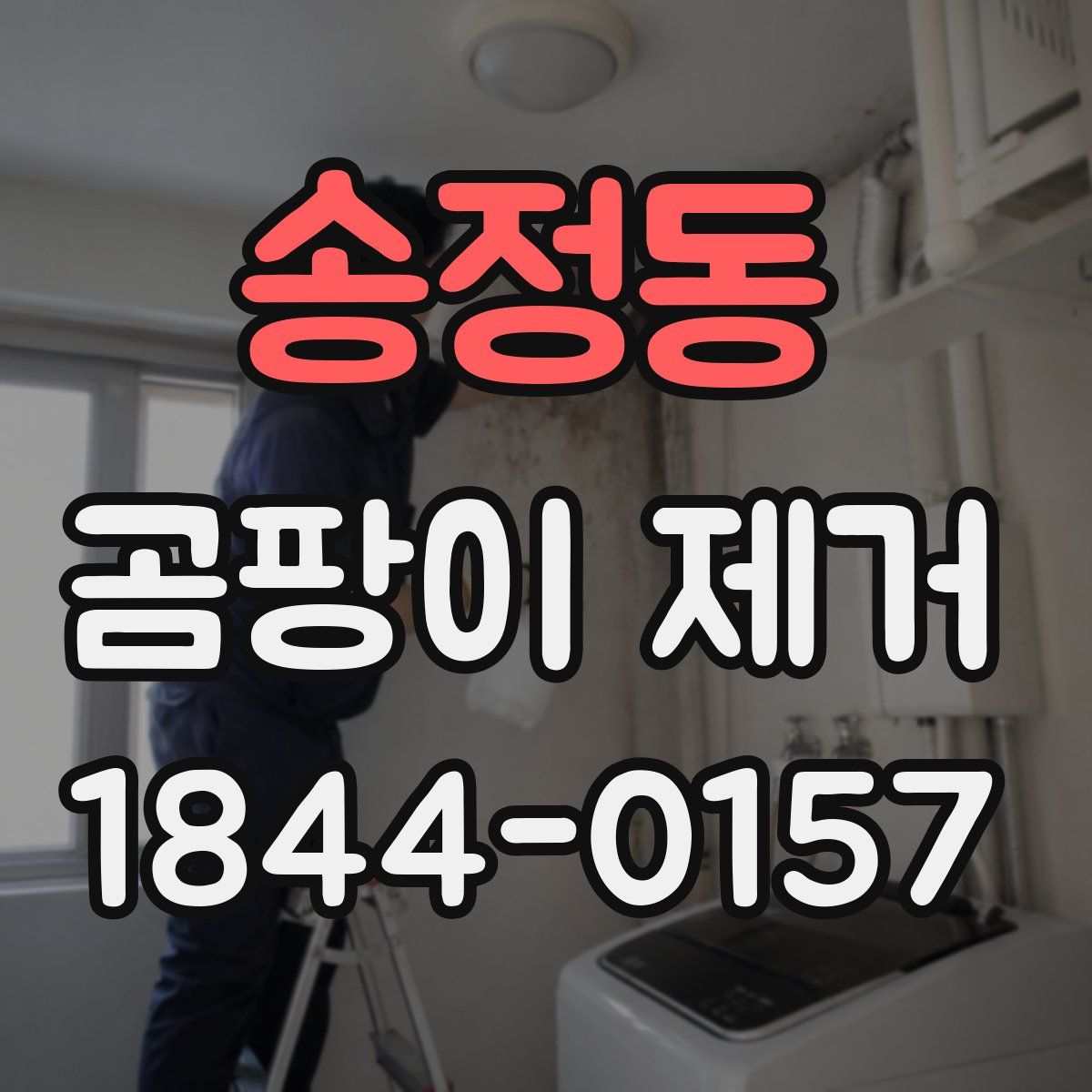 송정동 곰팡이 제거