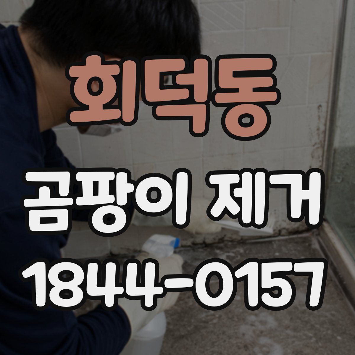 회덕동 곰팡이 제거