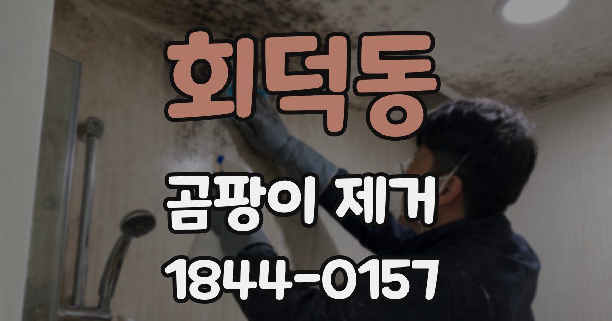 회덕동 곰팡이 제거