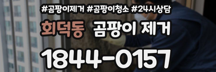 회덕동 곰팡이 제거
