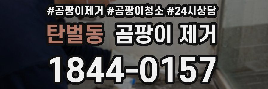 탄벌동 곰팡이 제거